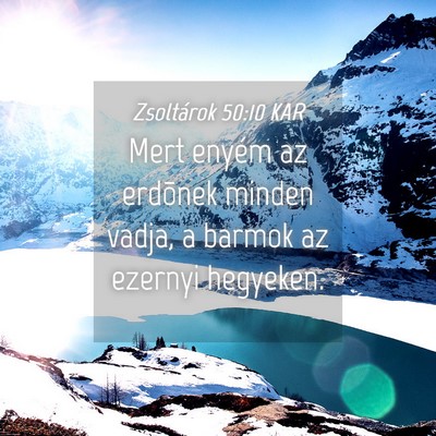 Picture 04 - Zsoltárok 50:10 KAR - Mert enyém az erdõnek minden vadja, a barmok az - Bible Verse Picture