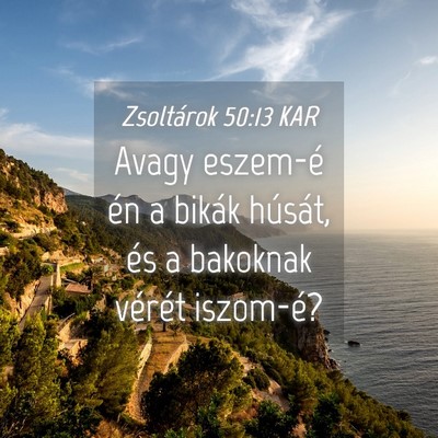 Picture 04 - Zsoltárok 50:13 KAR - Avagy eszem-é én a bikák húsát, és a - Bible Verse Picture