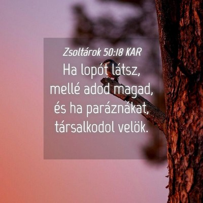 Picture 04 - Zsoltárok 50:18 KAR - Ha lopót látsz, mellé adod magad, és ha - Bible Verse Picture