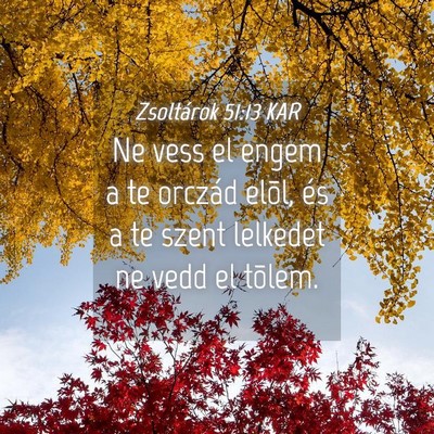 Picture 04 - Zsoltárok 51:13 KAR - Ne vess el engem a te orczád elõl, és a te - Bible Verse Picture