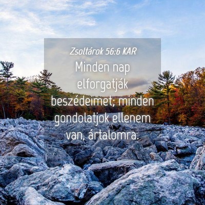 Picture 04 - Zsoltárok 56:6 KAR - Minden nap elforgatják beszédeimet; minden - Bible Verse Picture