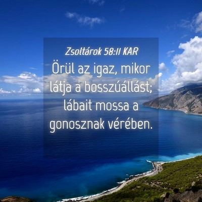 Picture 04 - Zsoltárok 58:11 KAR - Örül az igaz, mikor látja a bosszúállást; - Bible Verse Picture