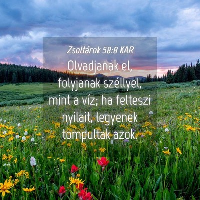 Picture 04 - Zsoltárok 58:8 KAR - Olvadjanak el, folyjanak széllyel, mint a víz; - Bible Verse Picture