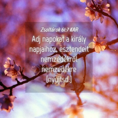 Picture 04 - Zsoltárok 61:7 KAR - Adj napokat a király napjaihoz, esztendeit - Bible Verse Picture