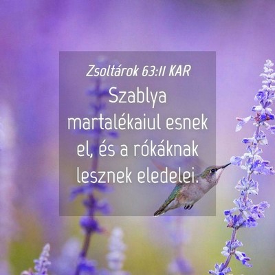 Picture 04 - Zsoltárok 63:11 KAR - Szablya martalékaiul esnek el, és a rókáknak - Bible Verse Picture