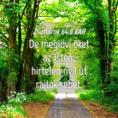 Picture 04 - Zsoltárok 64:8 KAR - De meglövi õket az Isten; hirtelen nyíl üt - Bible Verse Picture