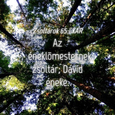Picture 04 - Zsoltárok 65:1 KAR - Az éneklõmesternek; zsoltár; Dávid - Bible Verse Picture