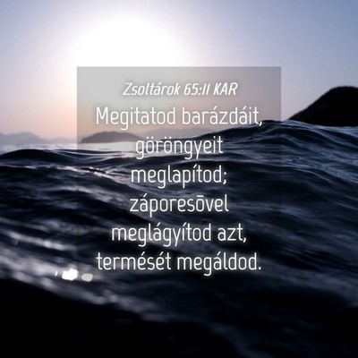 Picture 04 - Zsoltárok 65:11 KAR - Megitatod barázdáit, göröngyeit meglapítod; - Bible Verse Picture
