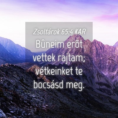 Picture 04 - Zsoltárok 65:4 KAR - Bûneim erõt vettek rajtam; vétkeinket te - Bible Verse Picture