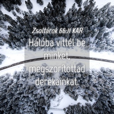 Picture 04 - Zsoltárok 66:11 KAR - Hálóba vittél be minket, megszorítottad - Bible Verse Picture