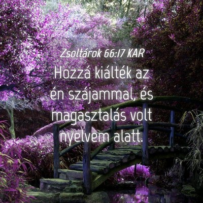 Picture 04 - Zsoltárok 66:17 KAR - Hozzá kiálték az én szájammal, és - Bible Verse Picture