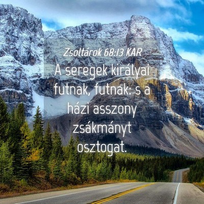 Picture 04 - Zsoltárok 68:13 KAR - A seregek királyai futnak, futnak: s a házi - Bible Verse Picture