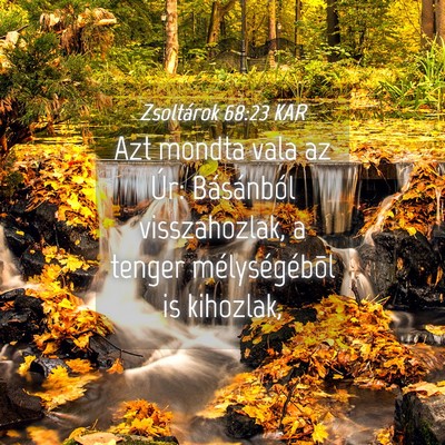 Picture 04 - Zsoltárok 68:23 KAR - Azt mondta vala az Úr: Básánból visszahozlak, - Bible Verse Picture