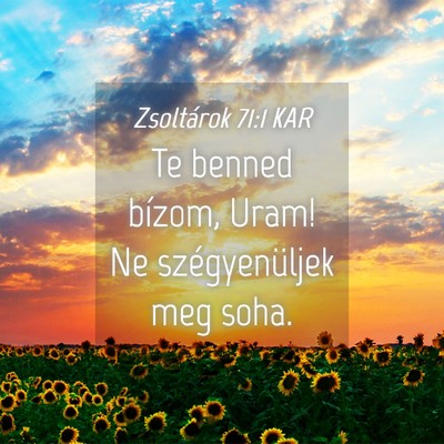 Picture 04 - Zsoltárok 71:1 KAR - Te benned bízom, Uram! Ne szégyenüljek meg - Bible Verse Picture