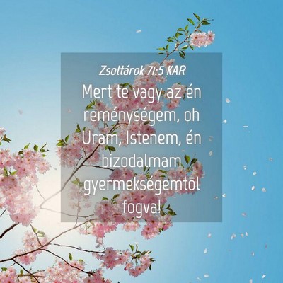 Picture 04 - Zsoltárok 71:5 KAR - Mert te vagy az én reménységem, oh Uram, - Bible Verse Picture
