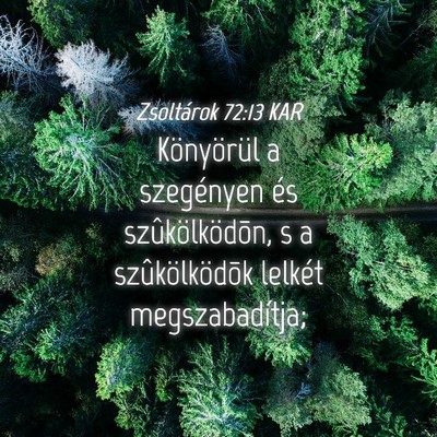 Picture 04 - Zsoltárok 72:13 KAR - Könyörül a szegényen és szûkölködõn, s a - Bible Verse Picture