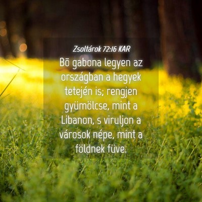 Picture 04 - Zsoltárok 72:16 KAR - Bõ gabona legyen az országban a hegyek tetején - Bible Verse Picture