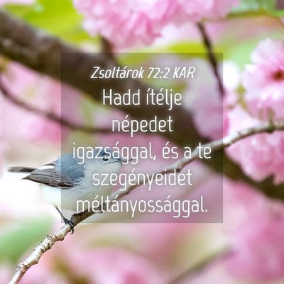 Picture 04 - Zsoltárok 72:2 KAR - Hadd ítélje népedet igazsággal, és a te - Bible Verse Picture