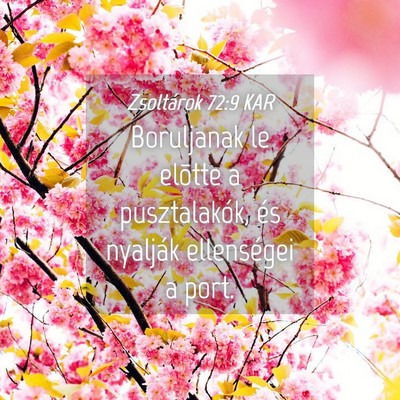 Picture 04 - Zsoltárok 72:9 KAR - Boruljanak le elõtte a pusztalakók, és - Bible Verse Picture