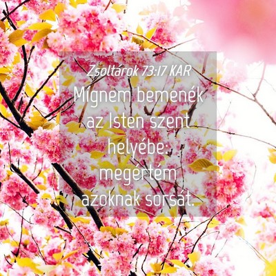 Picture 04 - Zsoltárok 73:17 KAR - Mígnem bemenék az Isten szent helyébe: - Bible Verse Picture