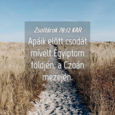 Picture 04 - Zsoltárok 78:12 KAR - Apáik elõtt csodát mívelt Égyiptom - Bible Verse Picture
