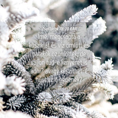 Picture 04 - Zsoltárok 78:20 KAR - Ímé, megcsapta a kõsziklát és víz ömlött - Bible Verse Picture