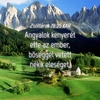 Picture 04 - Zsoltárok 78:25 KAR - Angyalok kenyerét ette az ember, bõséggel - Bible Verse Picture