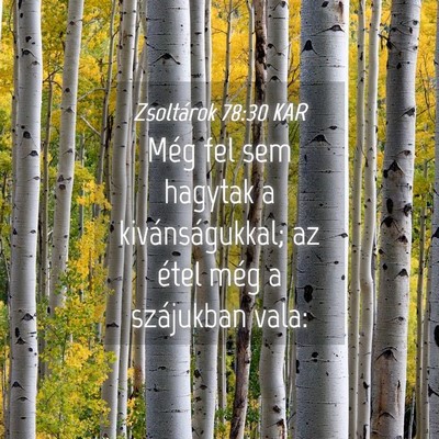 Picture 04 - Zsoltárok 78:30 KAR - Még fel sem hagytak a kivánságukkal; az étel - Bible Verse Picture