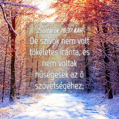 Picture 04 - Zsoltárok 78:37 KAR - De szívök nem volt tökéletes iránta, és nem - Bible Verse Picture