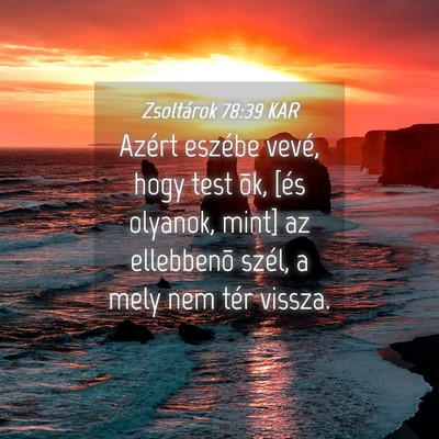 Picture 04 - Zsoltárok 78:39 KAR - Azért eszébe vevé, hogy test õk, [és - Bible Verse Picture