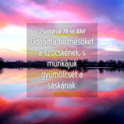 Picture 04 - Zsoltárok 78:46 KAR - Odaadta termésöket a szöcskének, s munkájuk - Bible Verse Picture