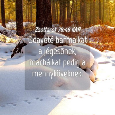 Picture 04 - Zsoltárok 78:48 KAR - Odaveté barmaikat a jégesõnek, marháikat - Bible Verse Picture