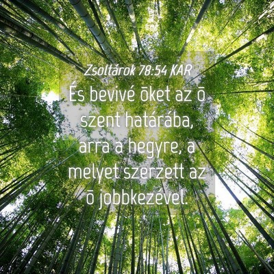 Picture 04 - Zsoltárok 78:54 KAR - És bevivé õket az õ szent határába, arra a - Bible Verse Picture