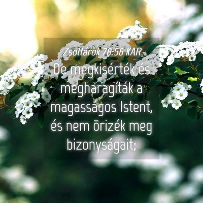 Picture 04 - Zsoltárok 78:56 KAR - De megkisérték és megharagíták a magasságos - Bible Verse Picture