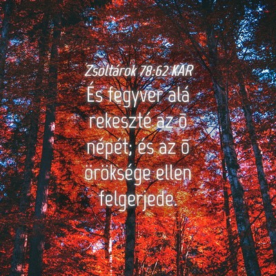 Picture 04 - Zsoltárok 78:62 KAR - És fegyver alá rekeszté az õ népét; és az - Bible Verse Picture