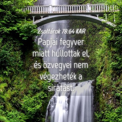 Picture 04 - Zsoltárok 78:64 KAR - Papjai fegyver miatt hullottak el, és özvegyei - Bible Verse Picture