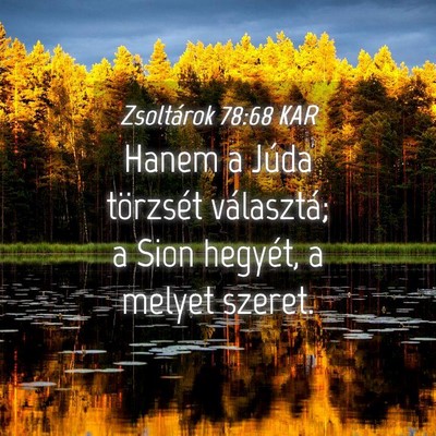 Picture 04 - Zsoltárok 78:68 KAR - Hanem a Júda törzsét választá; a Sion - Bible Verse Picture
