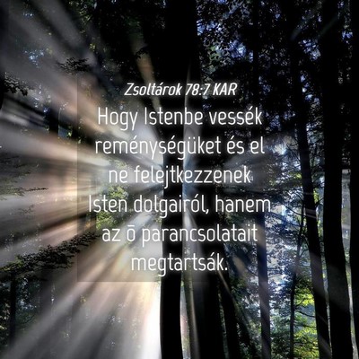 Picture 04 - Zsoltárok 78:7 KAR - Hogy Istenbe vessék reménységüket és el ne - Bible Verse Picture