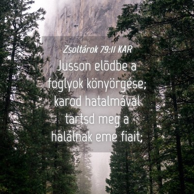 Picture 04 - Zsoltárok 79:11 KAR - Jusson elõdbe a foglyok könyörgése; karod - Bible Verse Picture