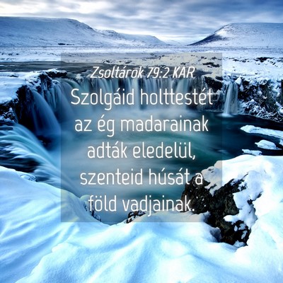 Picture 04 - Zsoltárok 79:2 KAR - Szolgáid holttestét az ég madarainak adták - Bible Verse Picture