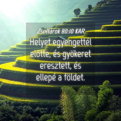 Picture 04 - Zsoltárok 80:10 KAR - Helyet egyengettél elõtte, és gyökeret - Bible Verse Picture