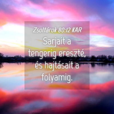 Picture 04 - Zsoltárok 80:12 KAR - Sarjait a tengerig ereszté, és hajtásait a - Bible Verse Picture