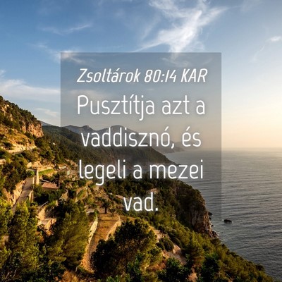 Picture 04 - Zsoltárok 80:14 KAR - Pusztítja azt a vaddisznó, és legeli a mezei - Bible Verse Picture