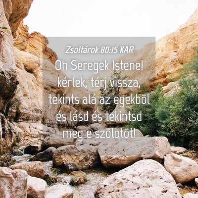 Picture 04 - Zsoltárok 80:15 KAR - Oh Seregek Istene! kérlek, térj vissza, tekints - Bible Verse Picture
