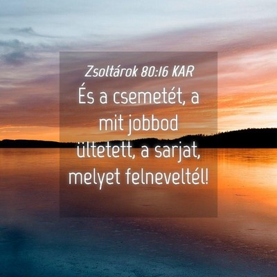 Picture 04 - Zsoltárok 80:16 KAR - És a csemetét, a mit jobbod ültetett, a - Bible Verse Picture