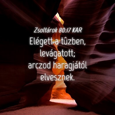 Picture 04 - Zsoltárok 80:17 KAR - Elégett a tûzben, levágatott; arczod - Bible Verse Picture
