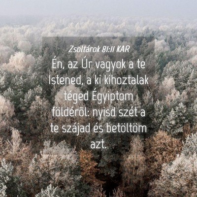 Picture 04 - Zsoltárok 81:11 KAR - Én, az Úr vagyok a te Istened, a ki kihoztalak - Bible Verse Picture