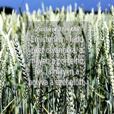 Picture 04 - Zsoltárok 83:14 KAR - Én Istenem! Tedd õket olyanokká, a milyen a - Bible Verse Picture