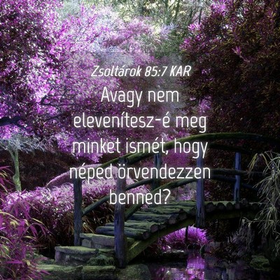 Picture 04 - Zsoltárok 85:7 KAR - Avagy nem elevenítesz-é meg minket ismét, hogy - Bible Verse Picture
