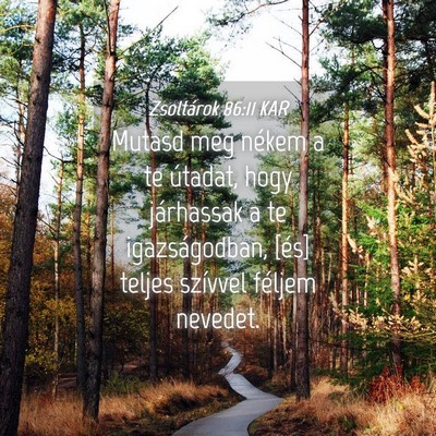 Picture 04 - Zsoltárok 86:11 KAR - Mutasd meg nékem a te útadat, hogy járhassak a - Bible Verse Picture